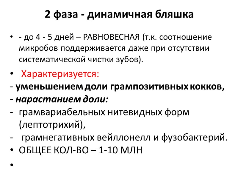 2 фаза - динамичная бляшка - до 4 - 5 дней – РАВНОВЕСНАЯ (т.к.